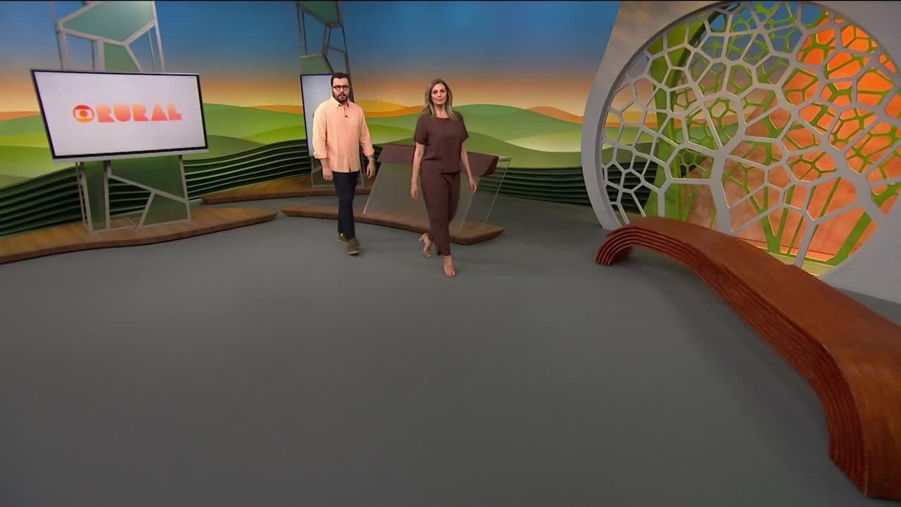 Do Mato Grosso para o mundo: a nova rota da soja e os desafios do transporte no Arco Norte