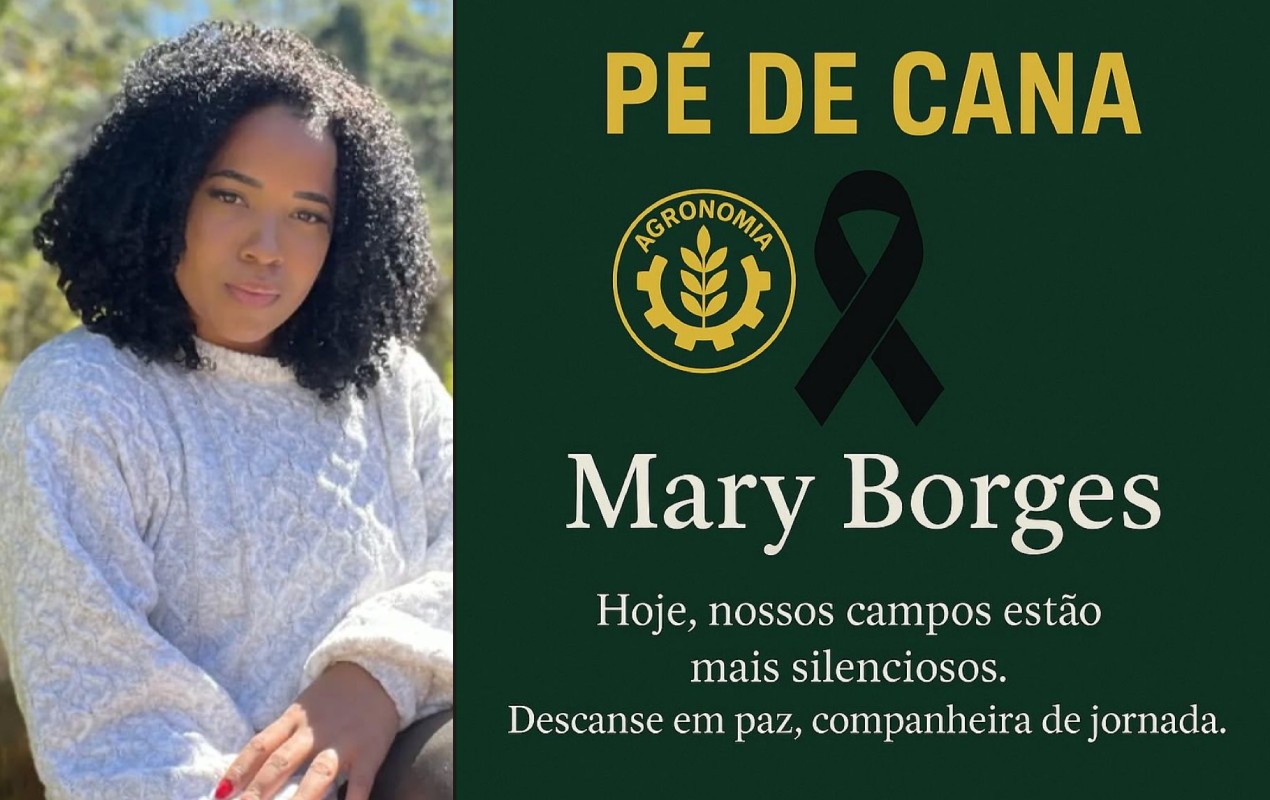 Amigos lamentam morte de estudante de agronomia em acidente no interior de SP: ‘Nossos campos estão mais silenciosos’