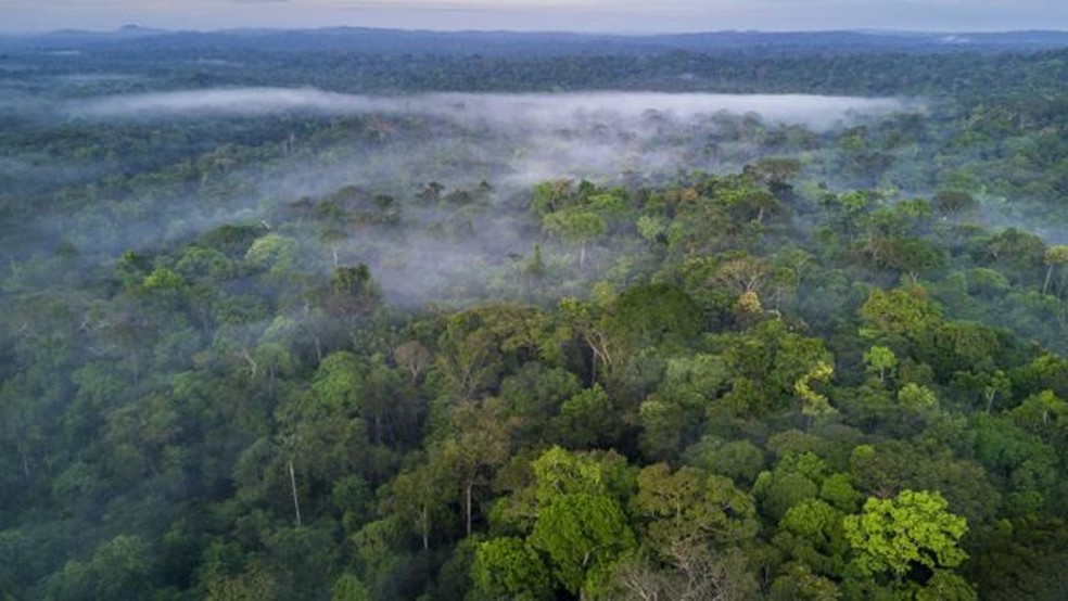 Amazônia — Foto: GETTY IMAGES
