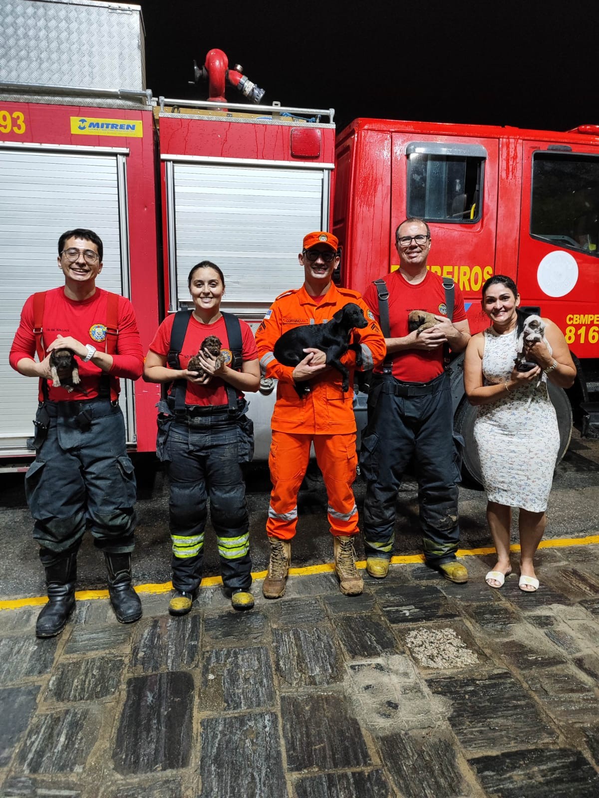 Bombeiros salvam cinco filhotes de cães em incêndio no Agreste de Pernambuco