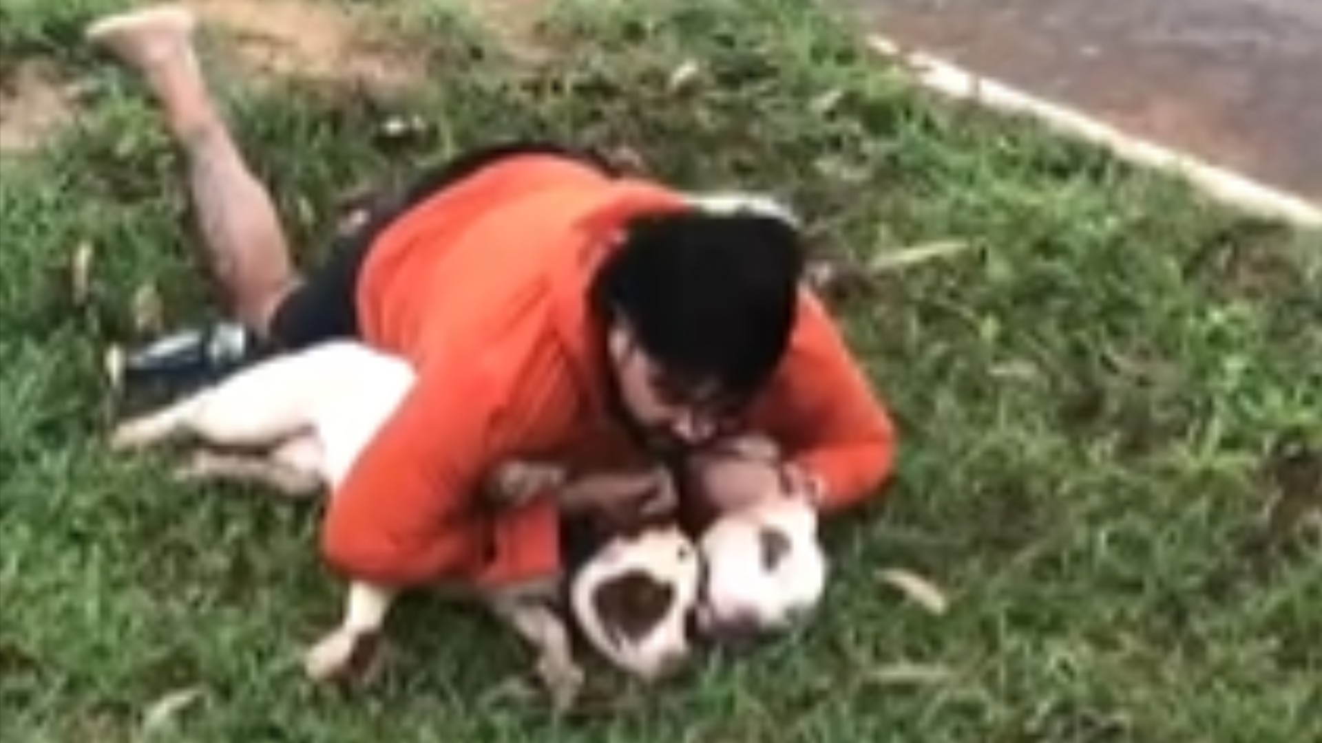 VÍDEO: Lutador de Muay Thai é atacado, derrubado e imobiliza dois pitbulls em MS