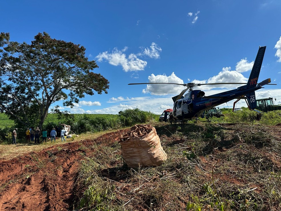 Caso aconteceu em uma lavoura de Cruzeiro do Oeste. — Foto: Samu