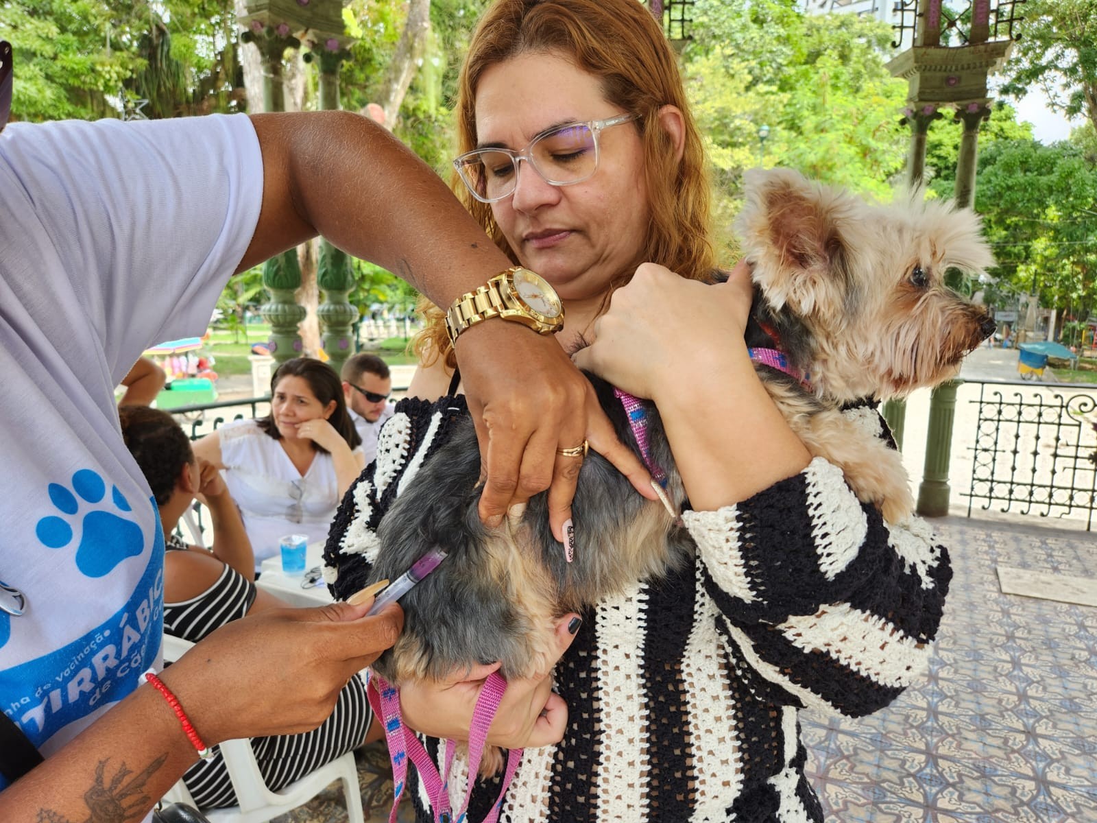 Vacinação antirrábica 2024: confira os 37 pontos de vacinação na área urbana de Uberlândia