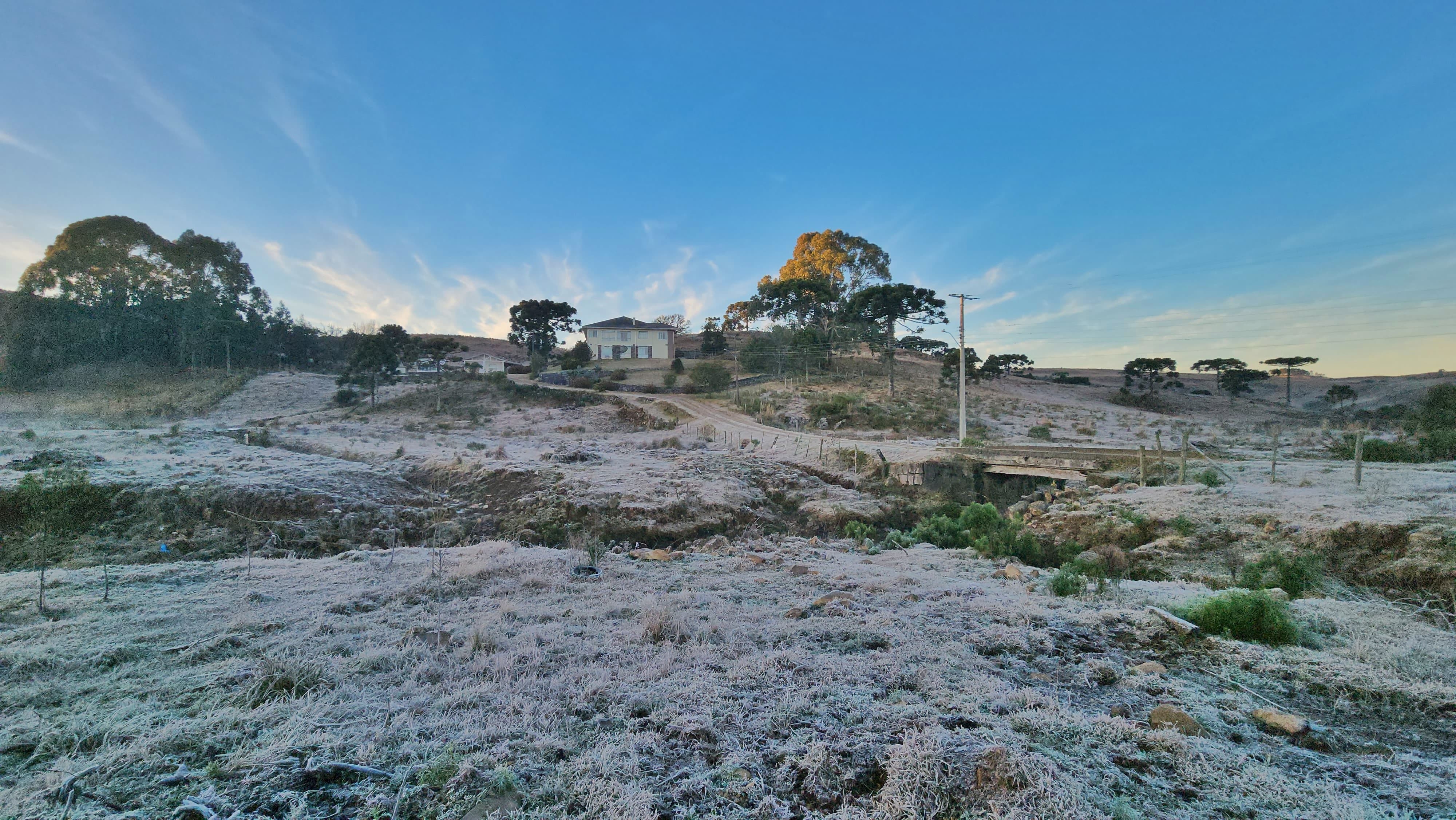 Geada cobre campos na Serra de SC em domingo com mínima de -4,3°C; vídeo