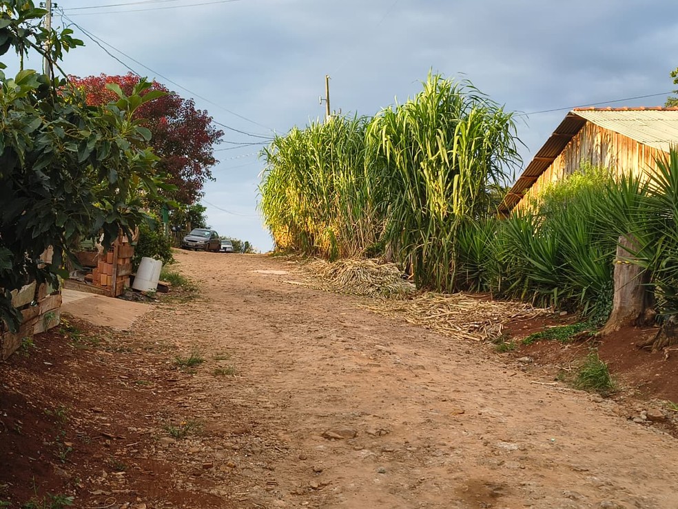 Atropelamento aconteceu em estrada rural — Foto: Eduardo Andrade/RPC