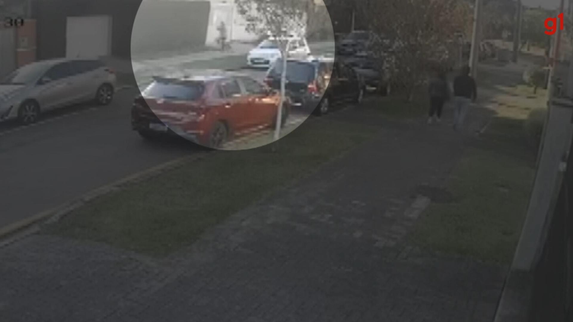 Mulher grávida é atacada por mais de dez cães em Curitiba; VÍDEO