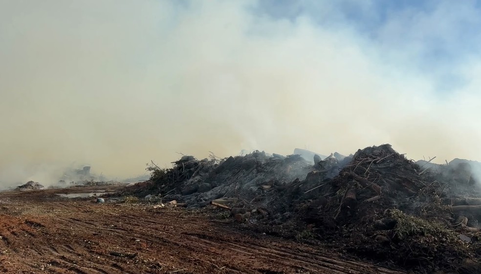 Depósito de galhos municipal é atingido por incêndio em Presidente Prudente (SP) — Foto: Aline Costa/TV TEM