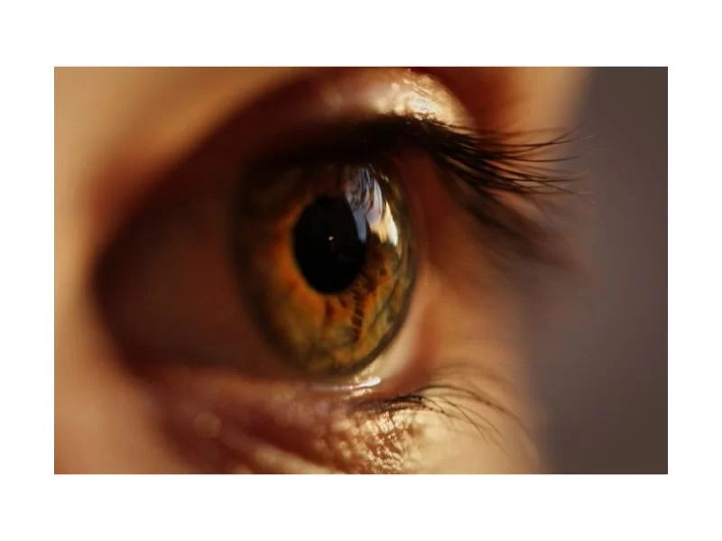 Descolamento de retina e vitrectomia: reconhecer os sinais pode salvar a visão