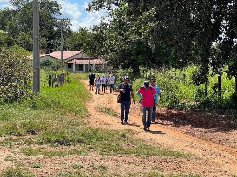 Expedição em busca do sítio arqueológico foi feita com participação de alunos da rede municipal — Foto: Djalma Santos/Arquivo pessoal 