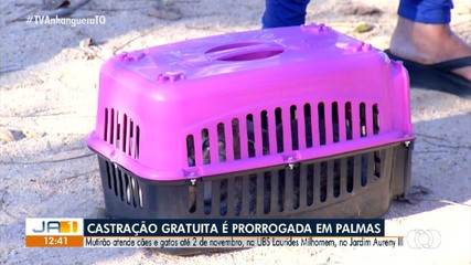 Castração gratuita é prorrogada em Palmas
