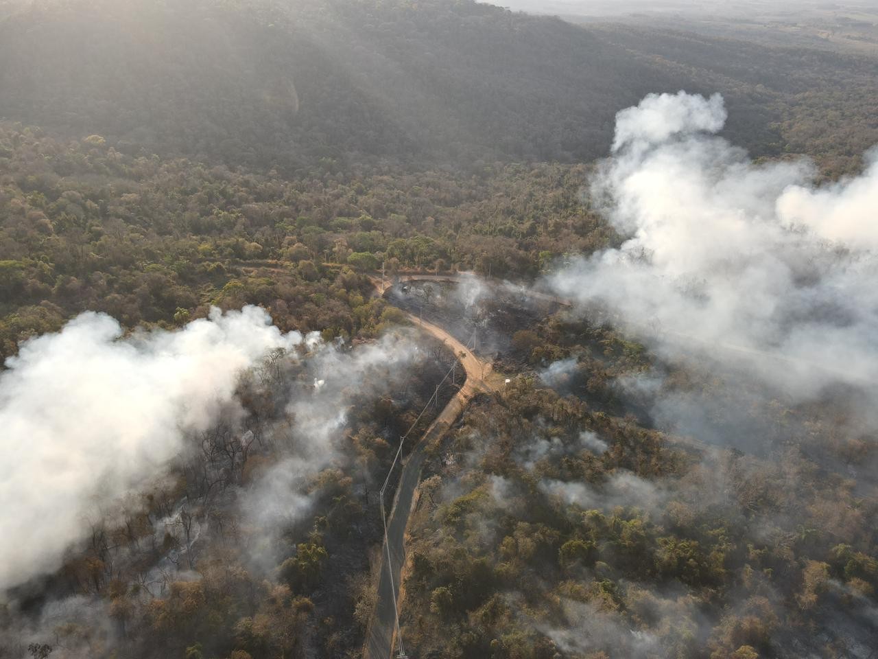 Incêndio atinge a Floresta Nacional de Ipanema e mobiliza bombeiros no interior de SP