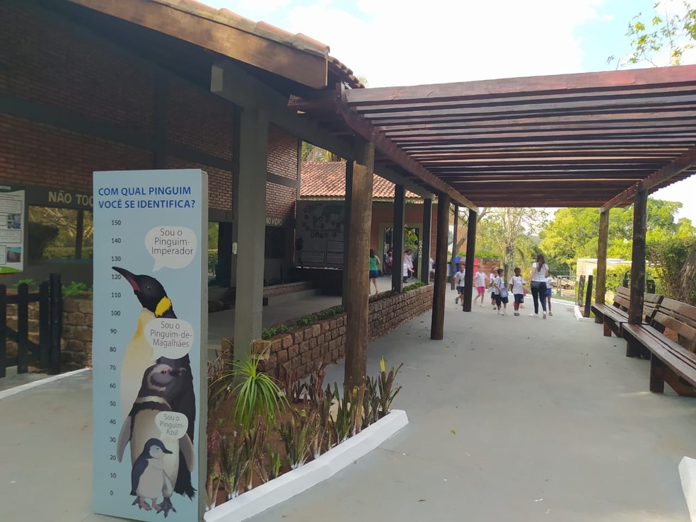 Novos espaços serão inaugurados para celebrar 43 anos do Zoo de Bauru — Foto: Prefeitura de Bauru/Divulgação