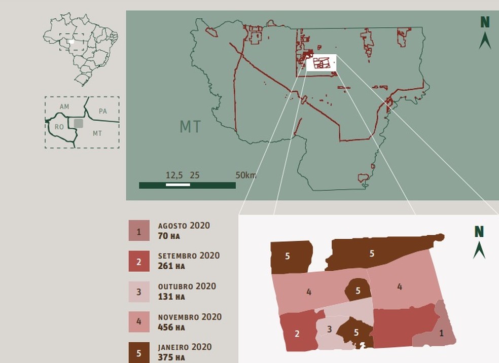Desmatamento da Terra Indígena Piripkura em 2020. — Foto: Instituto Socioambiental (ISA)