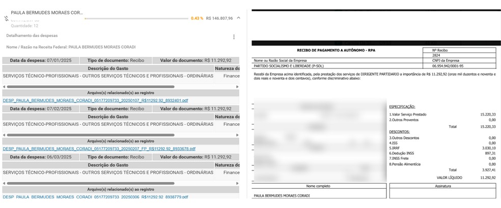 Imagem mostra registros no SPCA e recibo de pagamento a Paula Coradi em 2025. — Foto: Reprodução