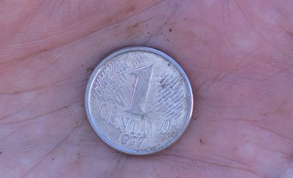 Moeda de R$ 0,1 encontrada nas Cataratas do Iguaçu  — Foto: Reprodução RPC 