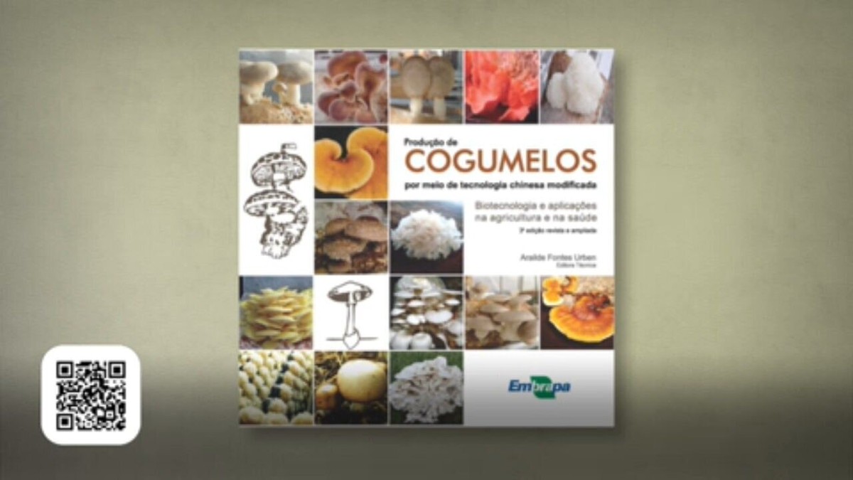 Cultivo de cogumelo Shimeji em substratos é tema do próximo Chimarrão com  Inovação - Secretaria da Agricultura, Pecuária, Produção Sustentável e  Irrigação