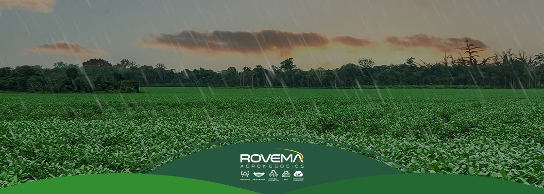 Regime hídrico e os impactos na produção agrícola do Grupo Rovema
