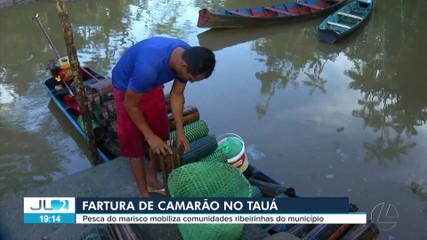 Pesca de camarão mobiliza ribeirinhos no Tauá, no Pará