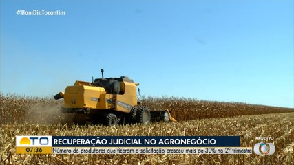 Número de produtores rurais que pediram recuperação judicial cresceu em 30%