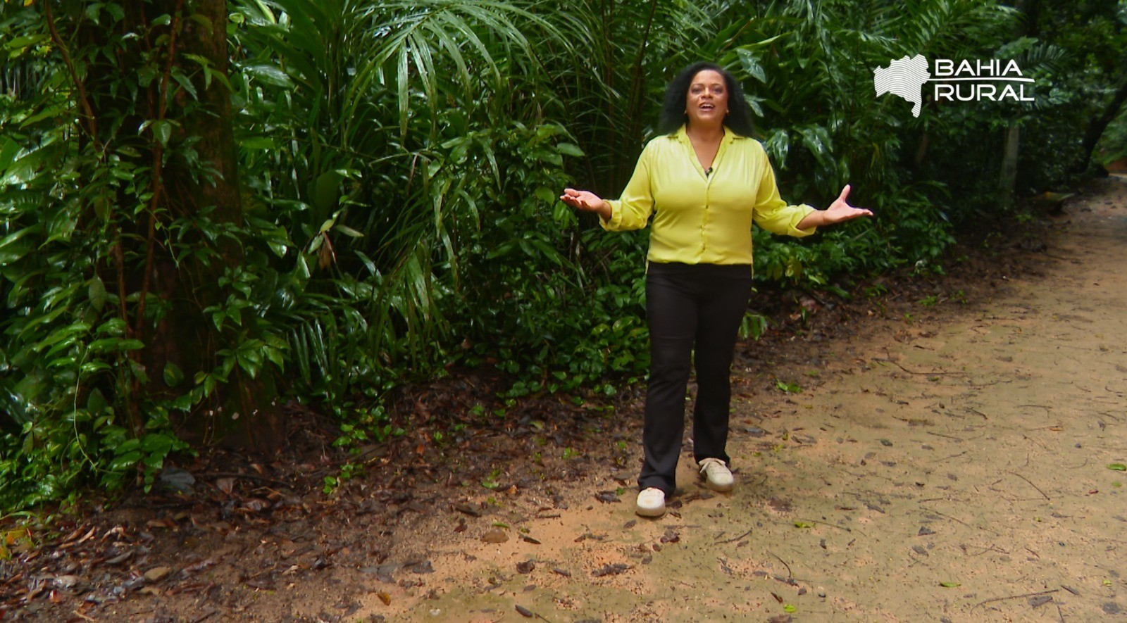 Vídeos do g1 e TV Bahia - domingo, 26 de abril de 2026