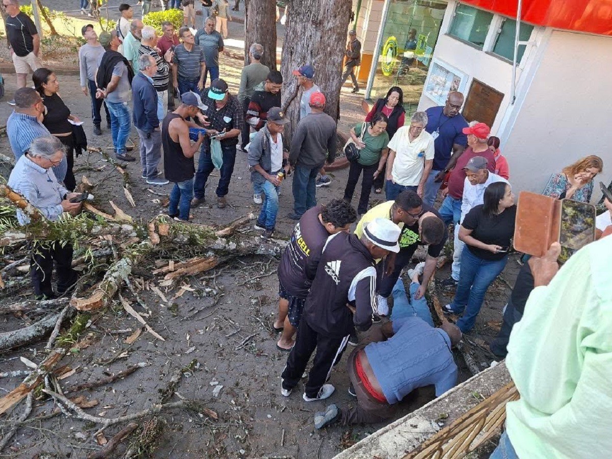 Mulher fica ferida após ser atingida por galho de árvore em praça de Barbacena