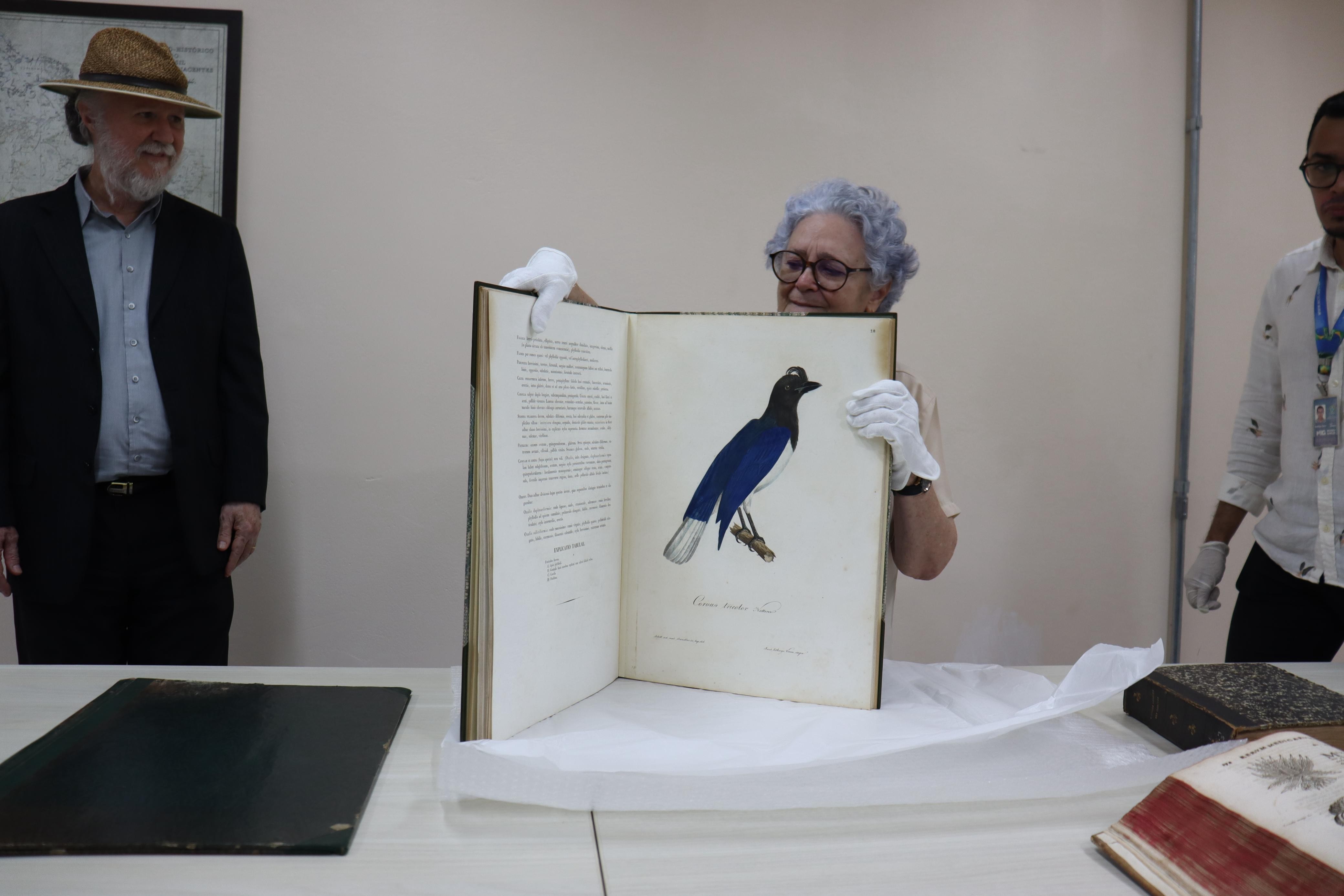 Dia do Livro: obra rara avaliada em R$120 mil é recuperada após ser furtada do Museu Emílio Goeldi, no PA