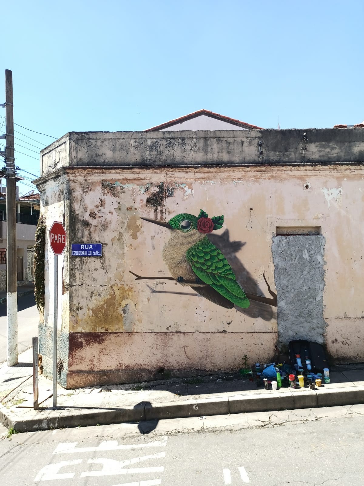 Artista plástico cria painéis de aves que ocorrem em cidades do interior de SP