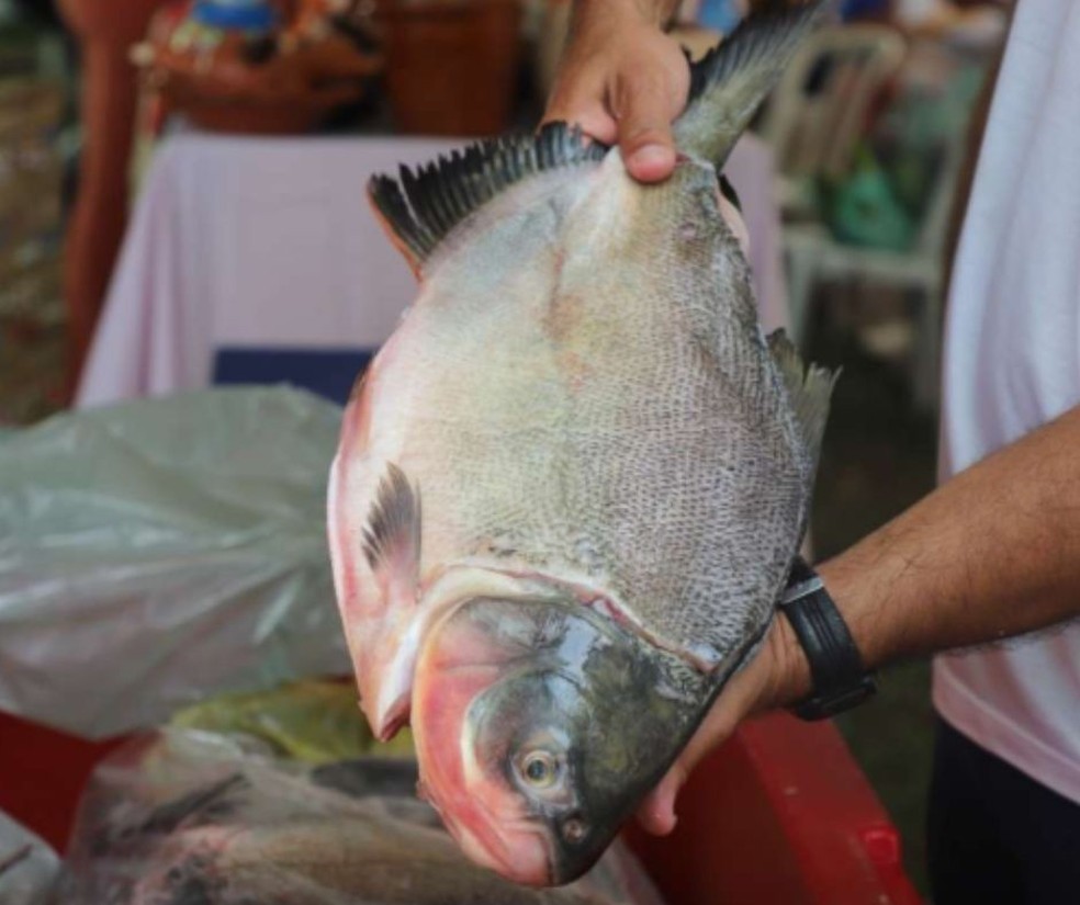 Várzea Grande vai ter cinco pontos de vendas com preços populares — Foto: Secom