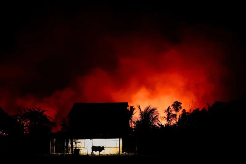 Uma fazenda perto de um incêndio florestal na Amazônia em uma área da Rodovia Transamazônica BR-230 em Labrea, Amazonas. — Foto: REUTERS/Bruno Kelly