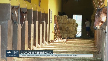 AquiTemInstaCasa: curiosidades sobre Ribeirão Preto