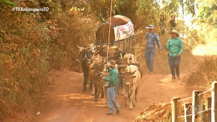 Romaria de carros de bois de Trindade é patrimônio cultural do Brasil desde 2016