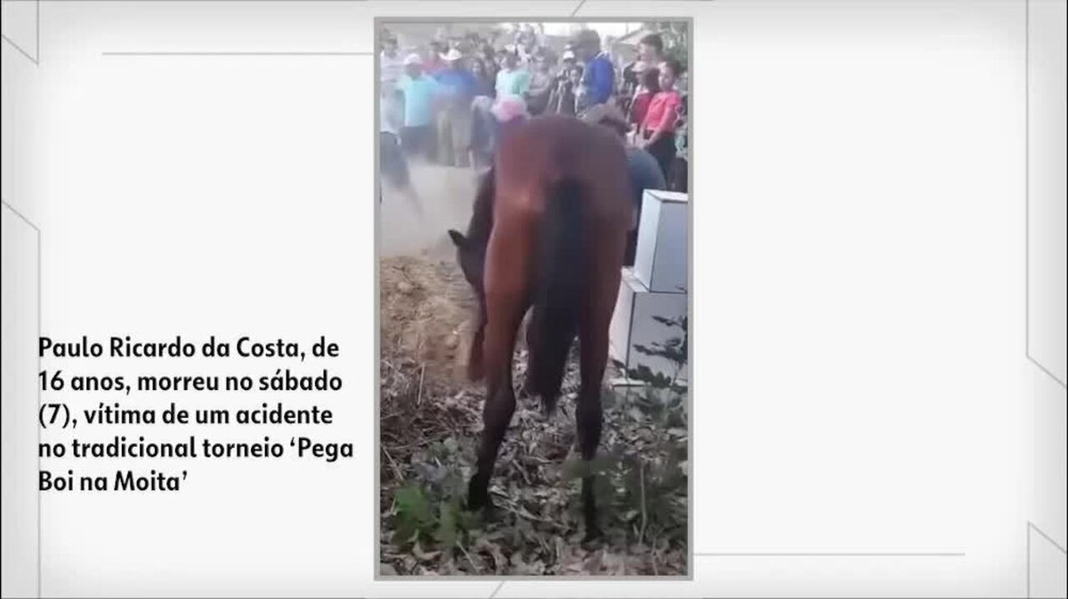 Vaqueiro de 22 anos e cavalo morrem eletrocutados enquanto perseguiam boi  em mata no Piauí - Info Newss