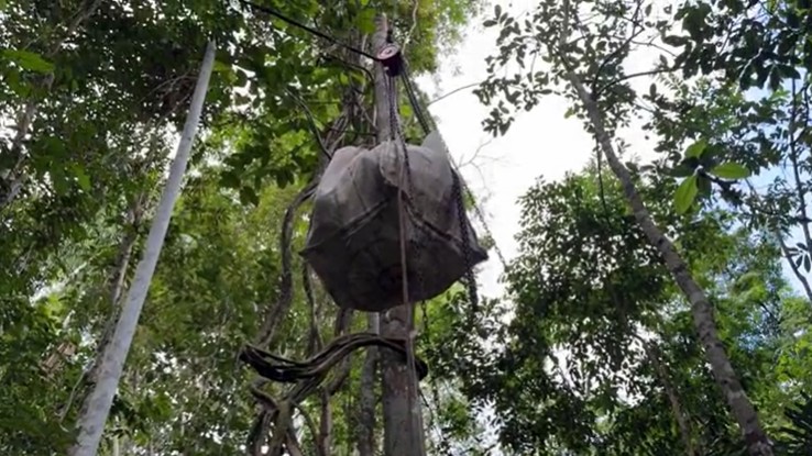 Sistema de cabos da Embrapa promete reduzir em até 80% de esforço físico no transporte de produtos na Amazônia
