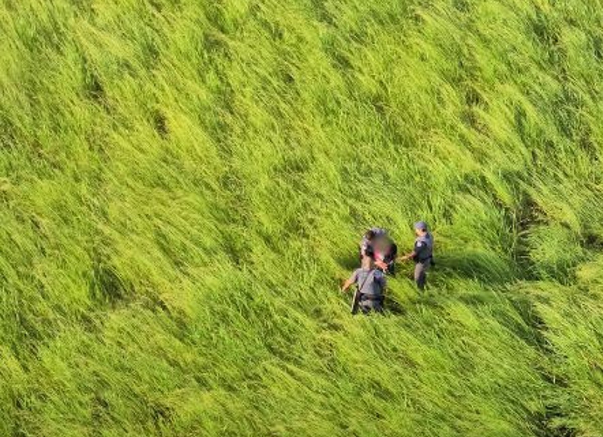 Policiais prendem suspeito de furto em mato após vento provocado por hélice de helicóptero revelar esconderijo em Guzolândia