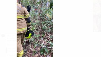 Equipes do Corpo de Bombeiros estão no local da queda do avião — Foto: Reprodução