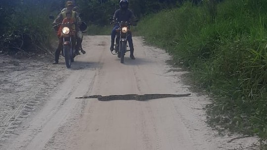 Jiboia de 2 metros é flagrada atravessando ramal em município do interior do Acre; VÍDEO - Foto: (Arquivo pessoal)