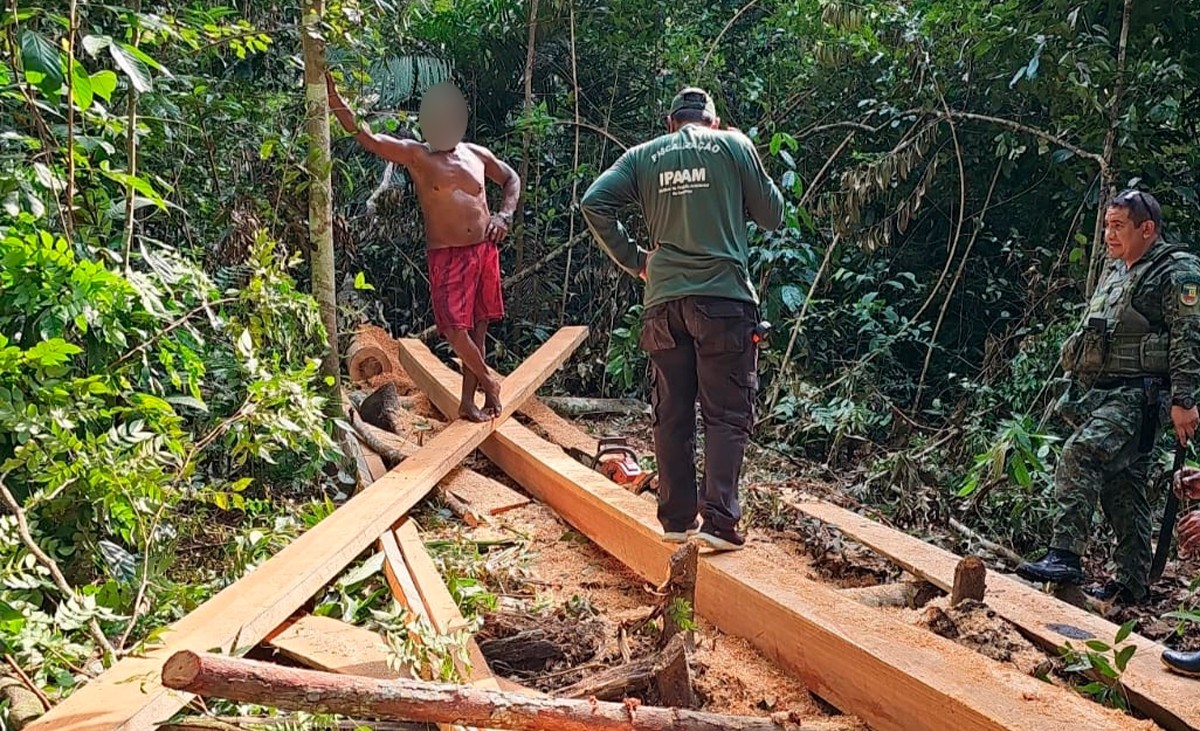 Operação ambiental no AM prende três pessoas e aplica R$ 427 mil em multas por crimes em áreas protegidas