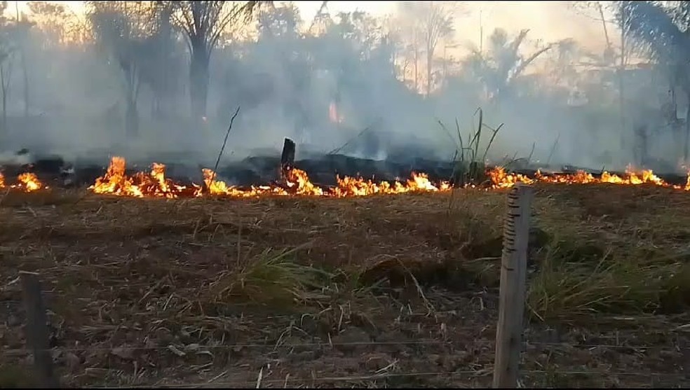 Fogo chegou próximo da casa da produtora rural Jesuíta Braga — Foto: Reprodução