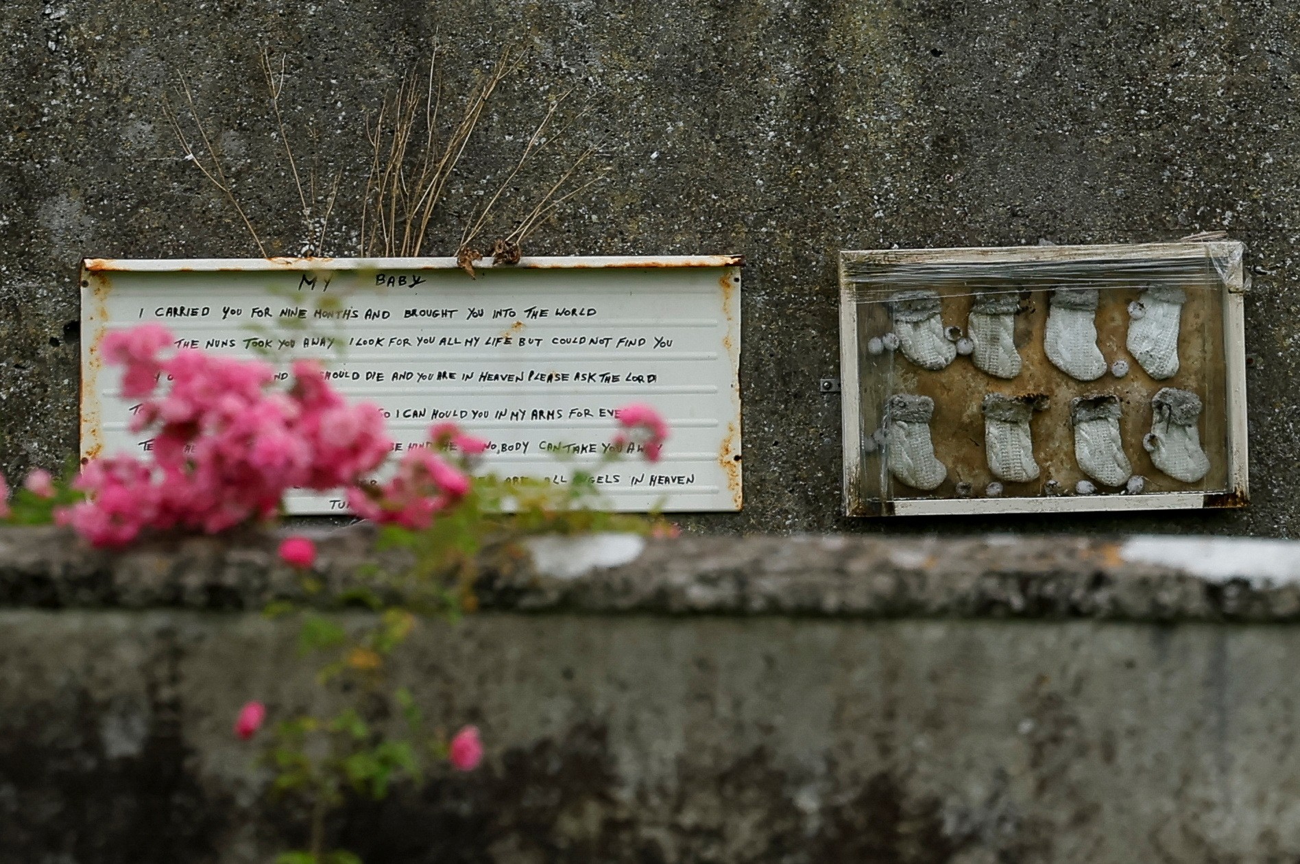 Irlanda começa a tentar identificar quase 800 corpos de bebês em cova coletiva gerida pela Igreja Católica