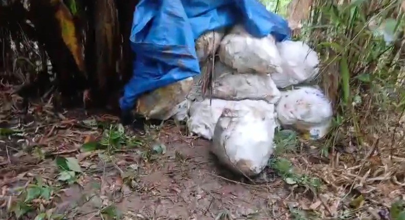 Polícia recupera 20 sacas de grude de peixe roubadas no Amapá