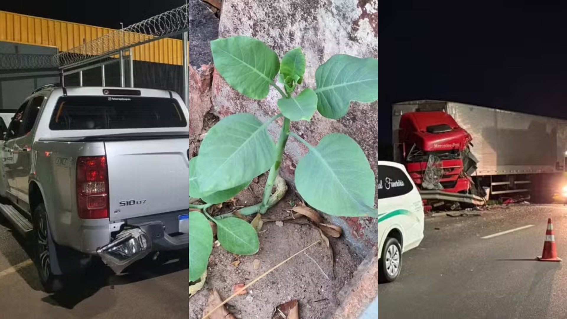 Você viu? Empresário fez Pix de R$ 16 mil antes de ser morto, homem pede ajuda na rua após comer 'falsa couve' e batida entre carretas