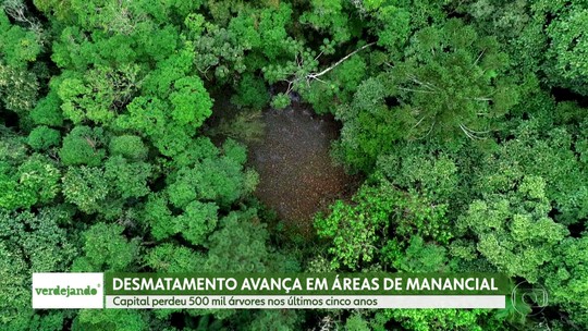 SP perdeu 500 mil árvores em desmatamento clandestino em 5 anos - Programa: Bom Dia SP 