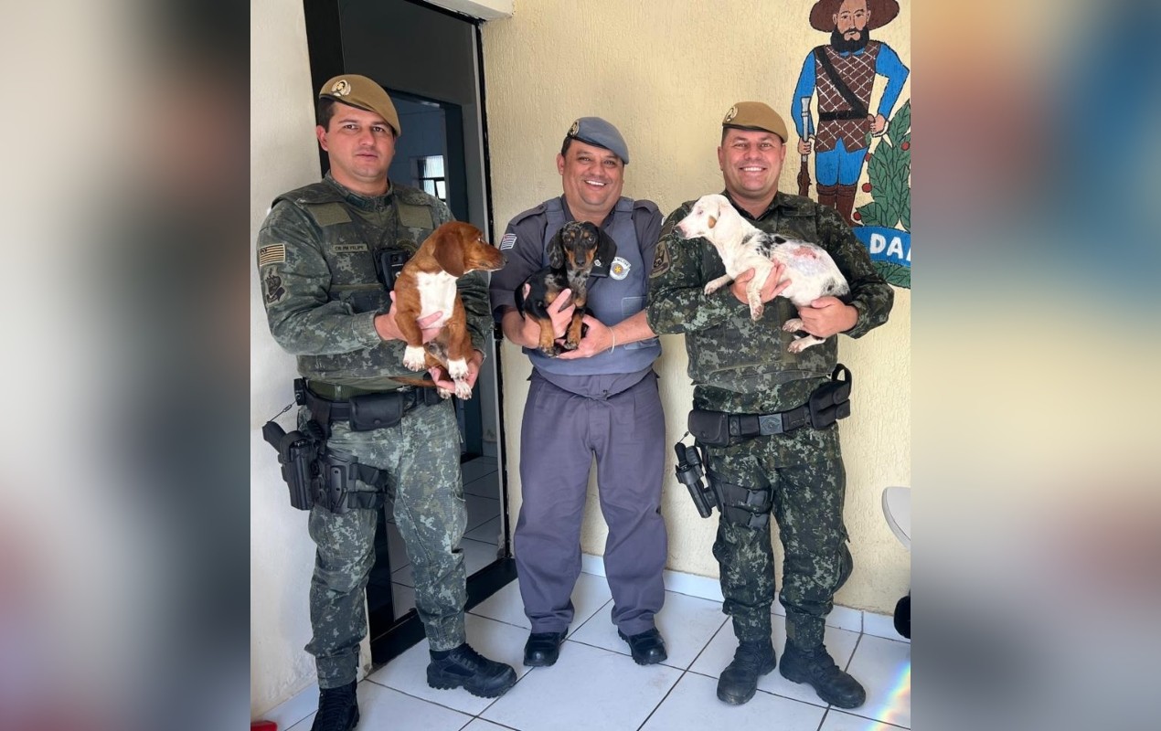 Filhotes de cães abandonados às margens de estrada são resgatados por policiais no interior de SP