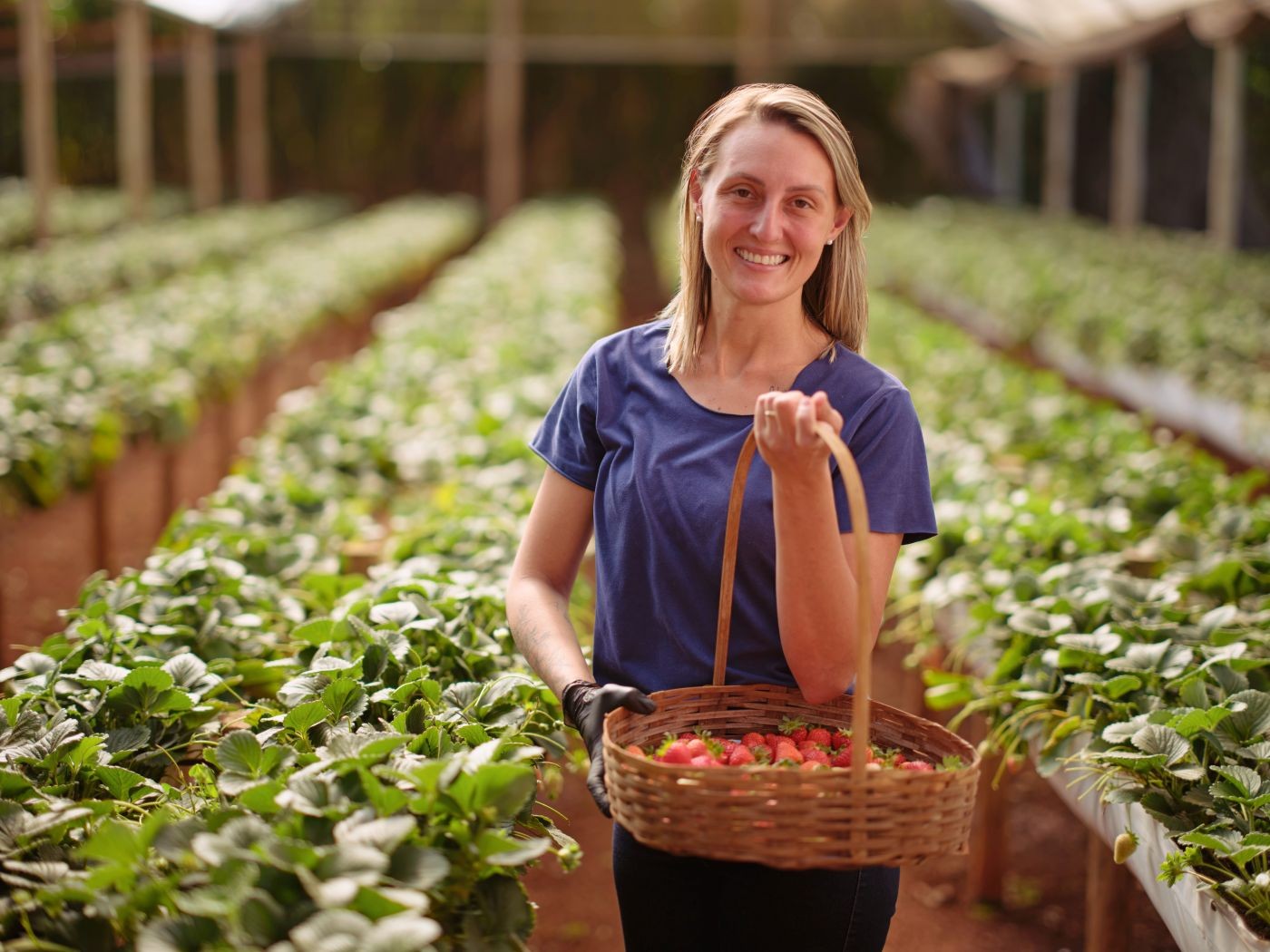 Cresol apresenta Relatório de Sustentabilidade com mais de 90 indicadores 