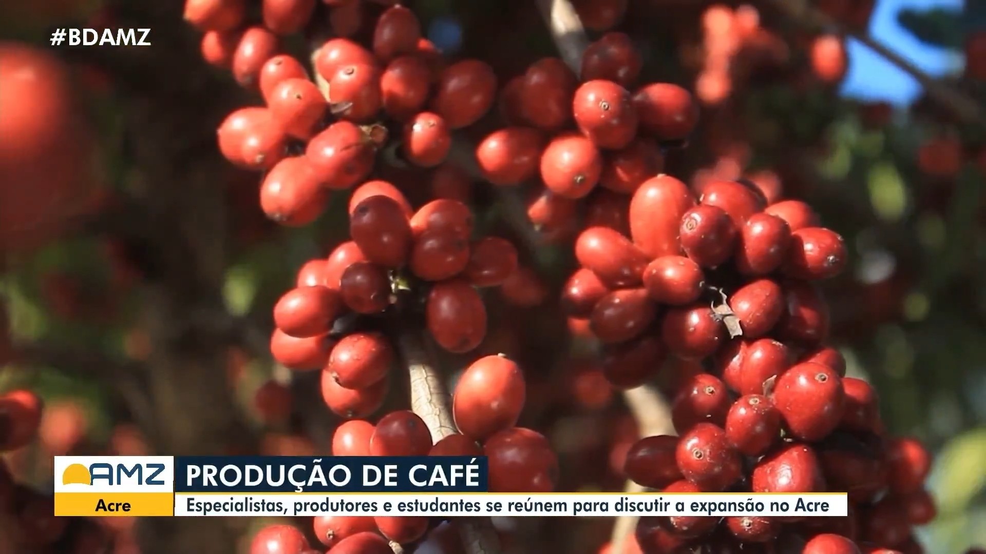 VÍDEOS: Bom Dia Amazônia desta quinta-feira, 23 de julho de 2026