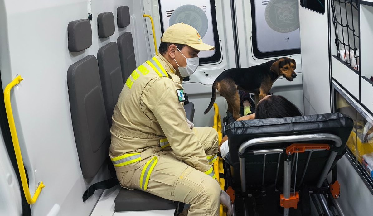 Cão ganha 'carona solidária' dos bombeiros após tutora sofrer acidente e ser socorrida, em Foz do Iguaçu