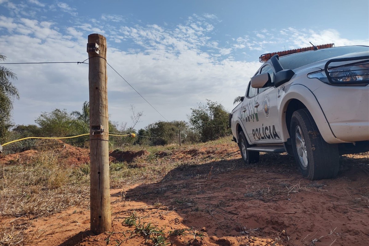 Homem é multado em mais de R$ 5 mil  por manter gado em área de reserva ambiental em Mirante do Paranapanema