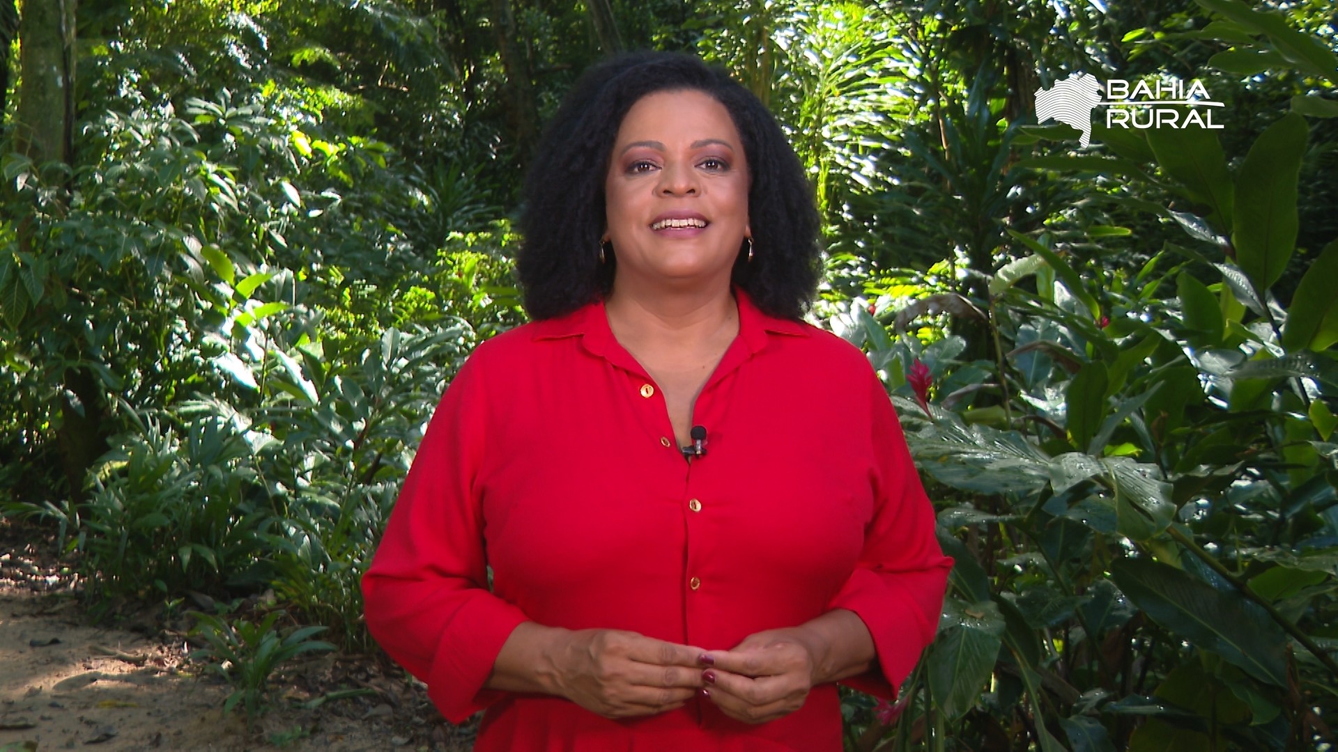 Vídeos do g1 e TV Bahia - domingo, 3 de maio de 2026