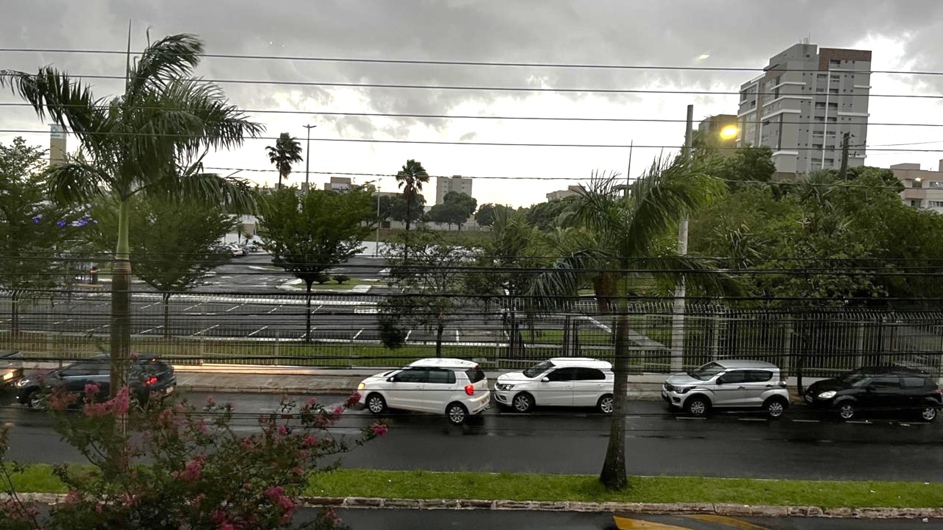 Semana tem até 40 milímetros de chuva em Uberlândia e região