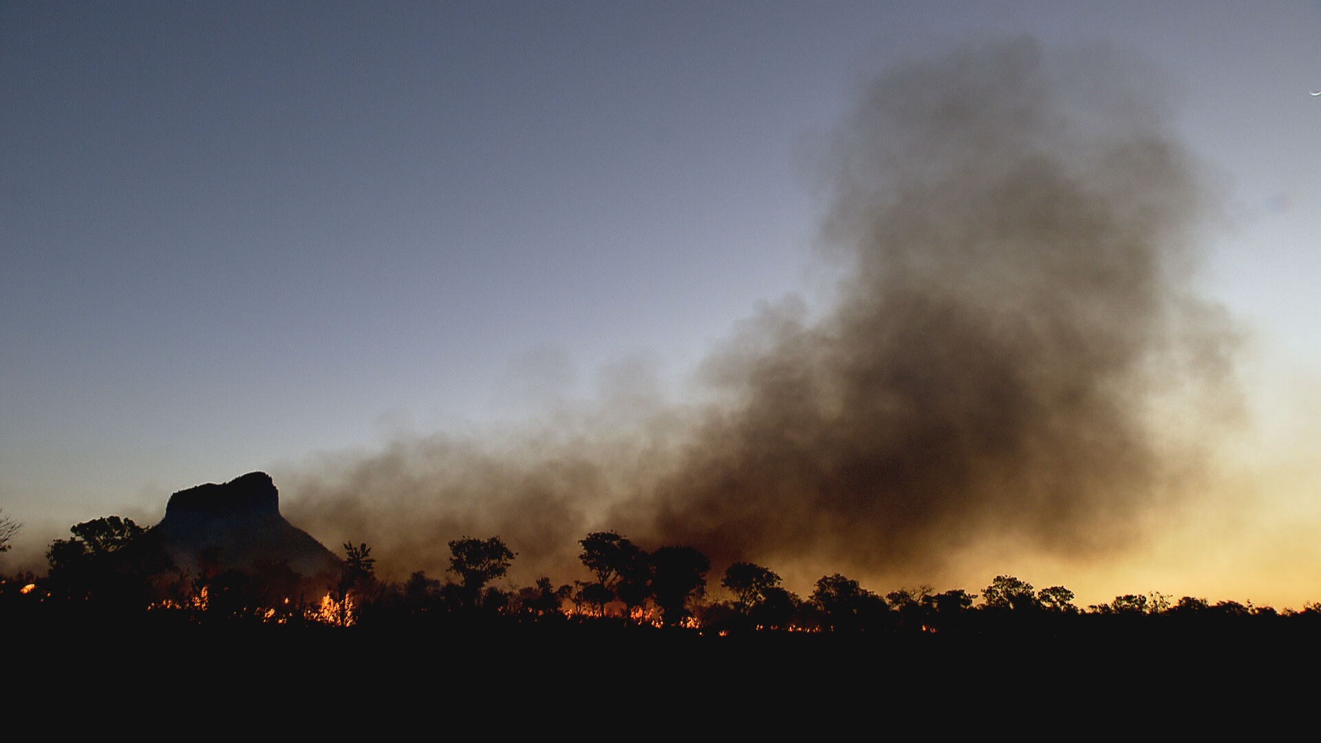 DF tem dia mais seco do ano com 9% de umidade; bombeiros registraram 71 incêndios florestais na segunda (2)